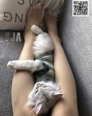说唱新世代免费观看完整版_BT种子下载
